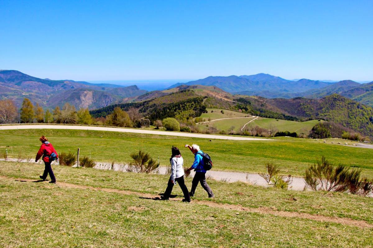 Naturaleza Y Aire Puro En El Pirineo Oriental En Una Bonita Casa Rural De Piedra Prats-de-Mollo-la-Preste Dış mekan fotoğraf