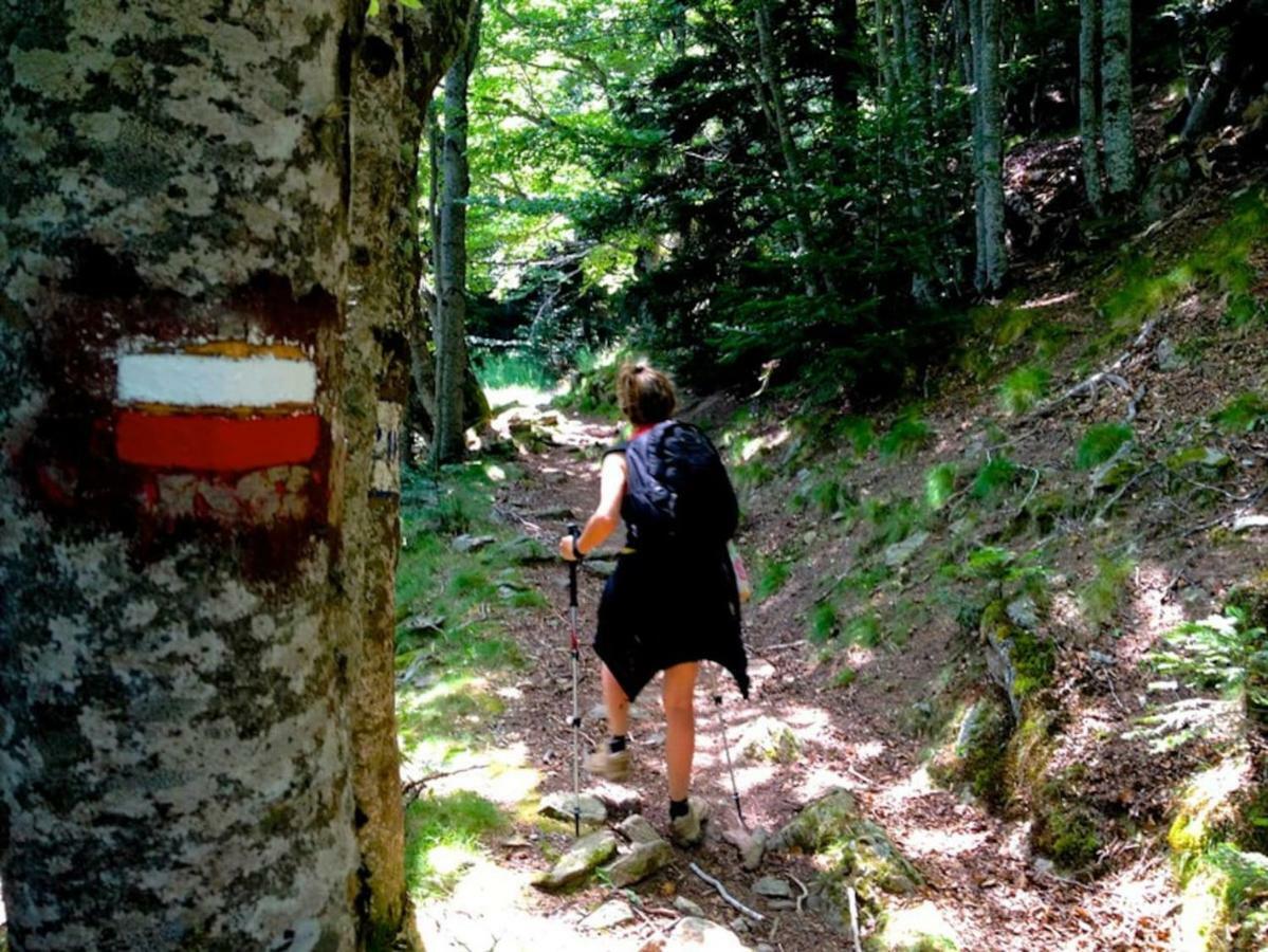 Naturaleza Y Aire Puro En El Pirineo Oriental En Una Bonita Casa Rural De Piedra Prats-de-Mollo-la-Preste Dış mekan fotoğraf