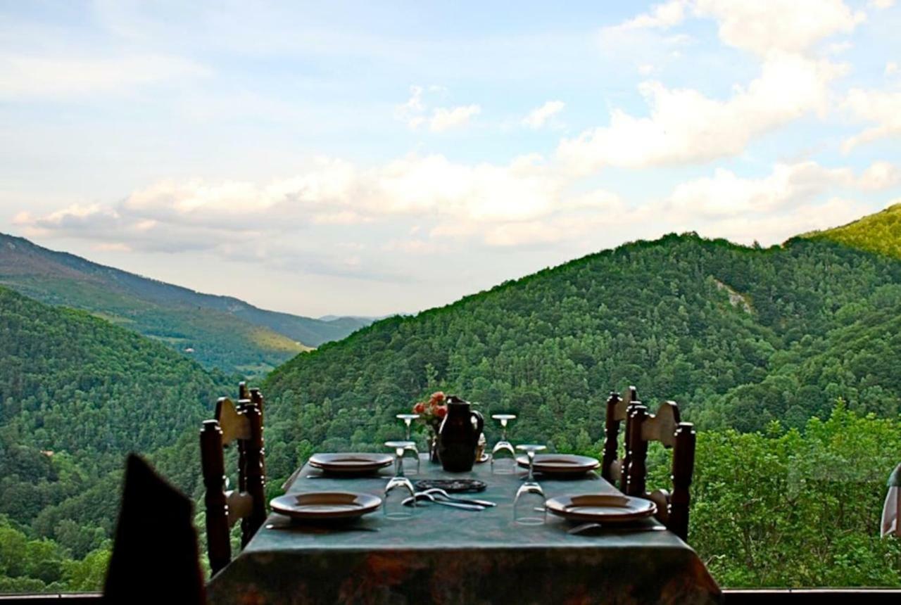 Naturaleza Y Aire Puro En El Pirineo Oriental En Una Bonita Casa Rural De Piedra Prats-de-Mollo-la-Preste Dış mekan fotoğraf